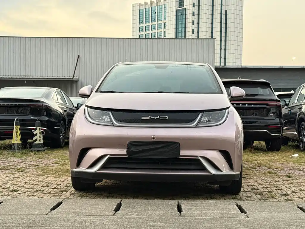 BYD Dolphin — миниатюра 2
