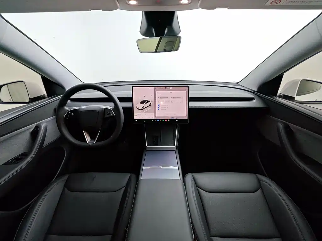 Tesla Model Y — миниатюра 15