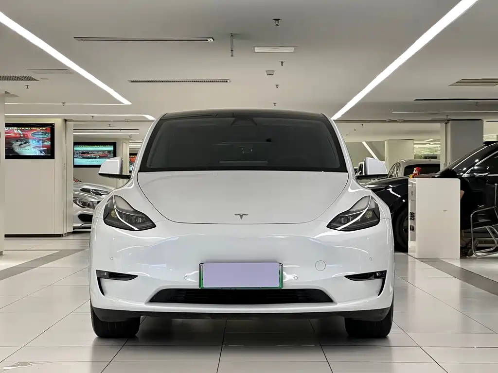Tesla Model Y — миниатюра 2