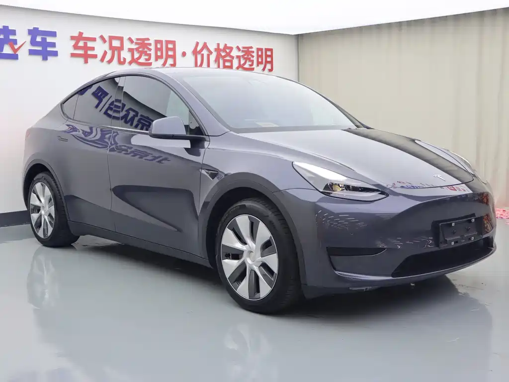 Tesla Model Y — миниатюра 2