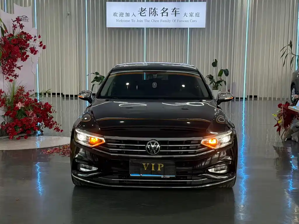 Volkswagen Magotan — миниатюра 2