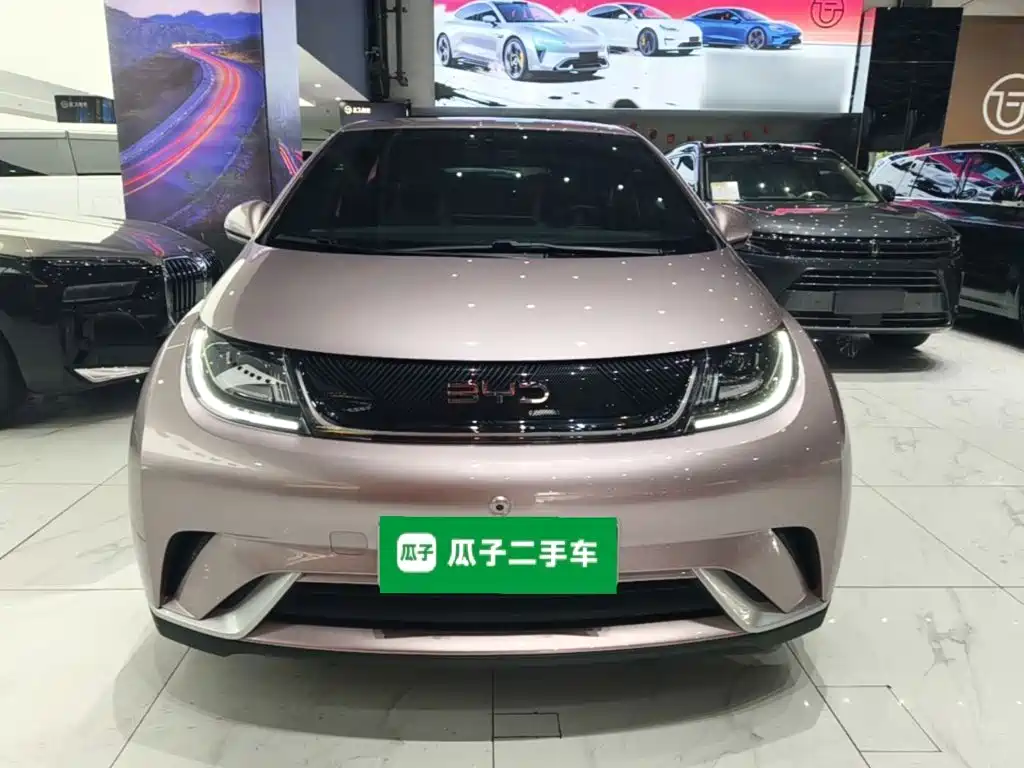 BYD Dolphin — миниатюра 3