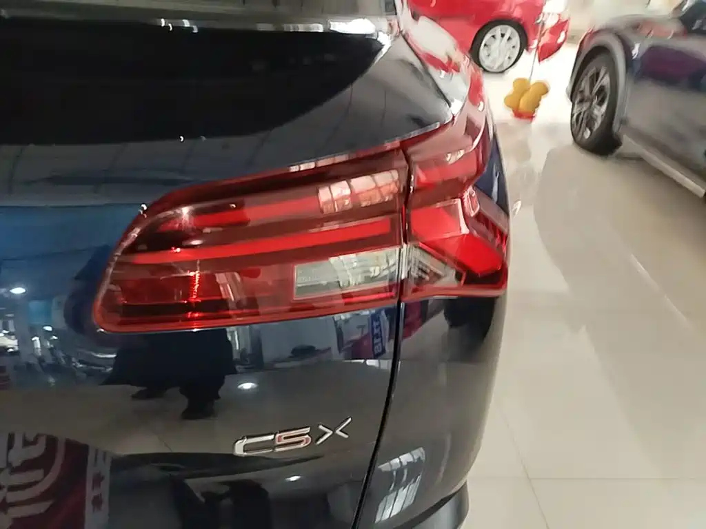 Citroen C5 X — миниатюра 8