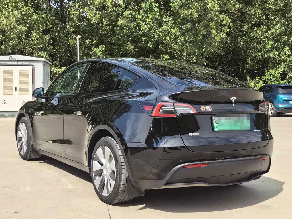 Tesla Model Y — миниатюра 16
