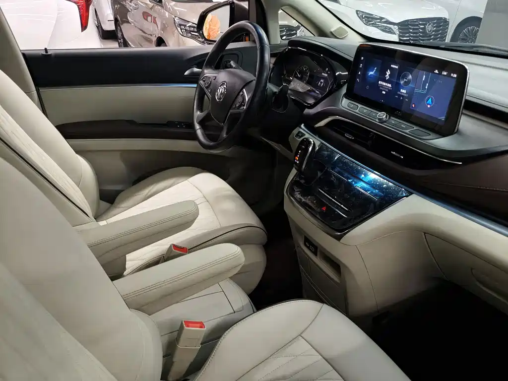 Buick GL8 — миниатюра 10