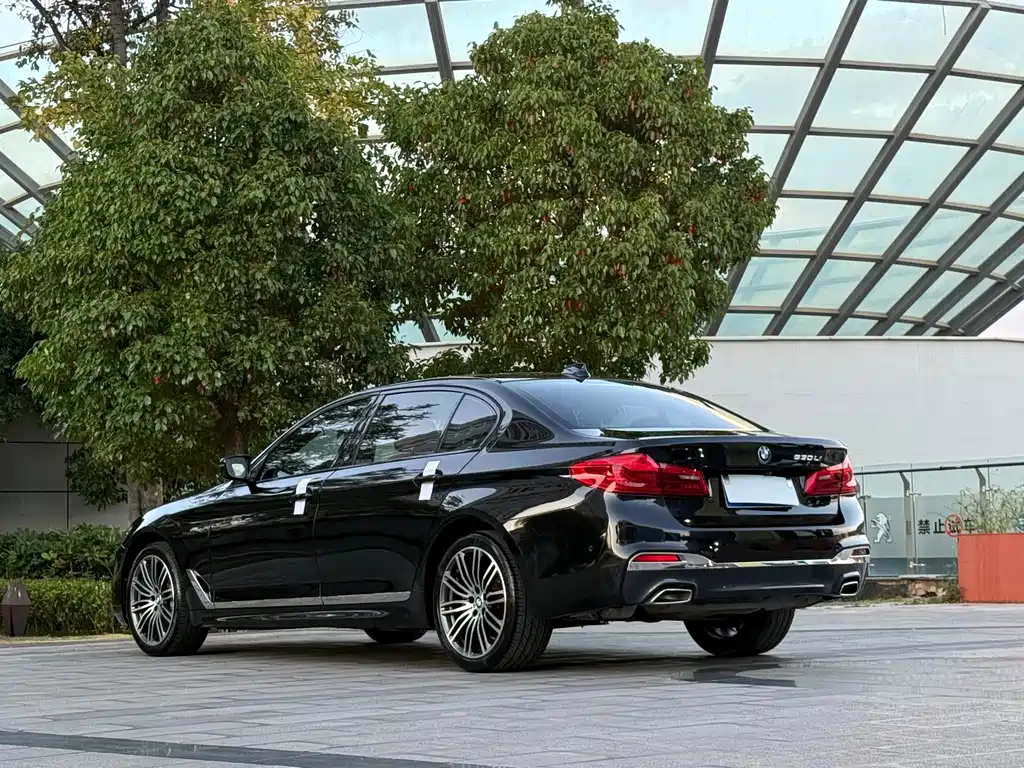 BMW 5 Series — миниатюра 9