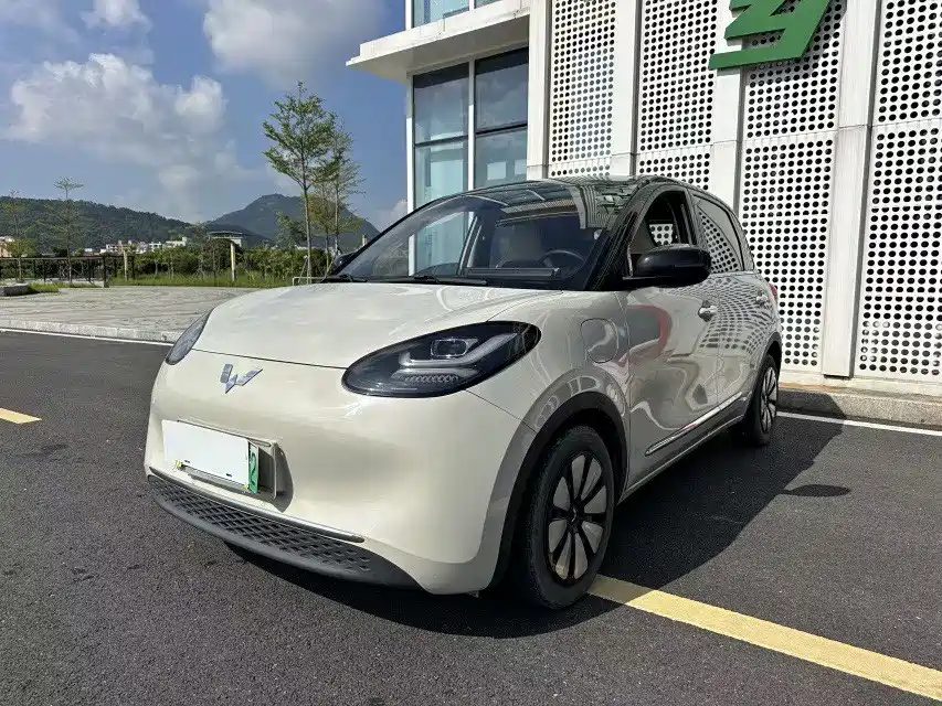 Wuling Bingo — миниатюра 20