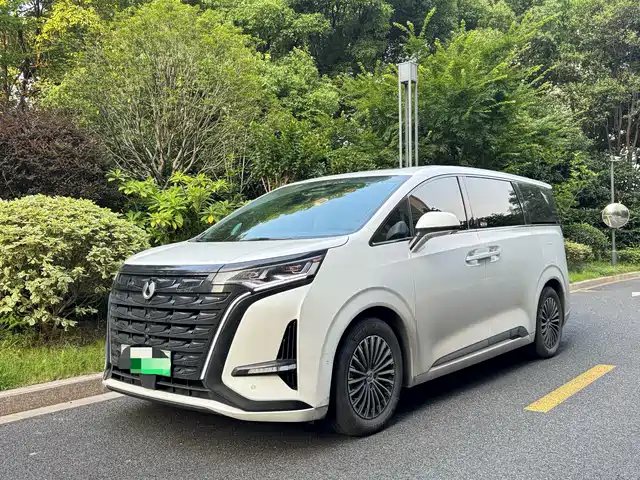2023 Denza D9