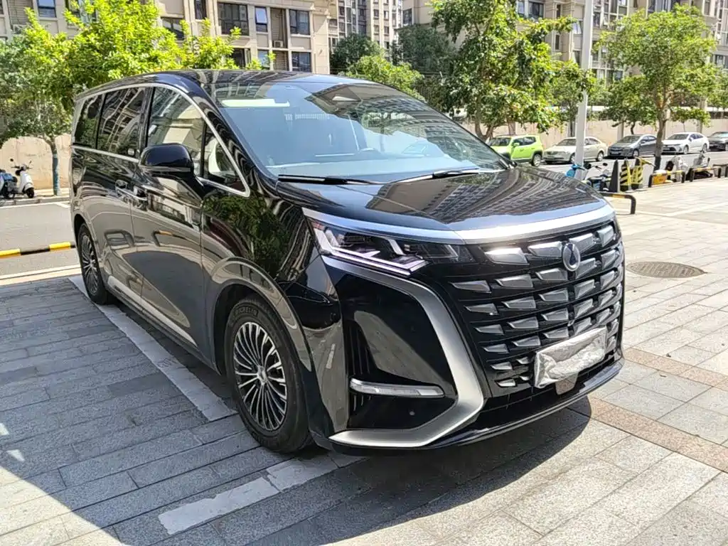 Denza Denza D9 — миниатюра 4