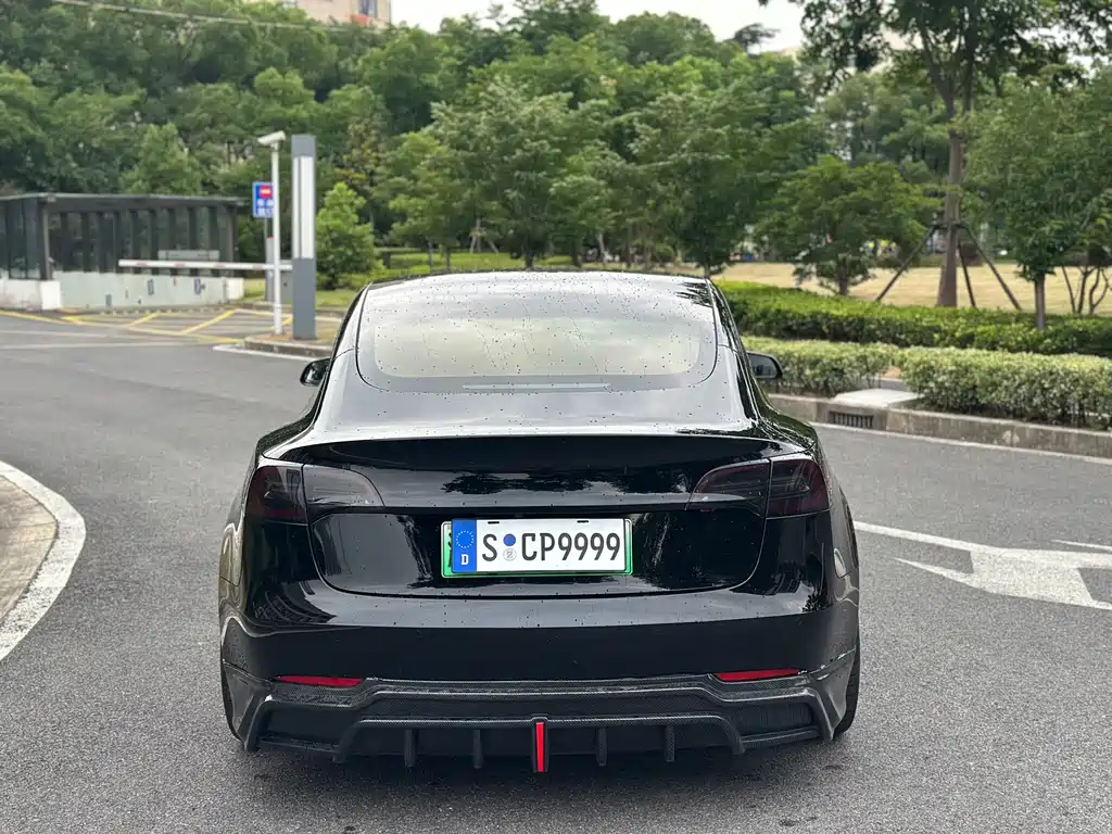 Tesla Model 3 2021 Performance 3D6