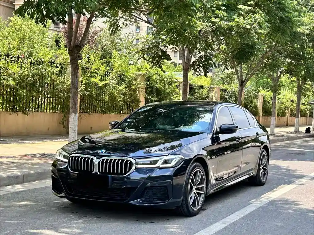 BMW 5 Series 2022