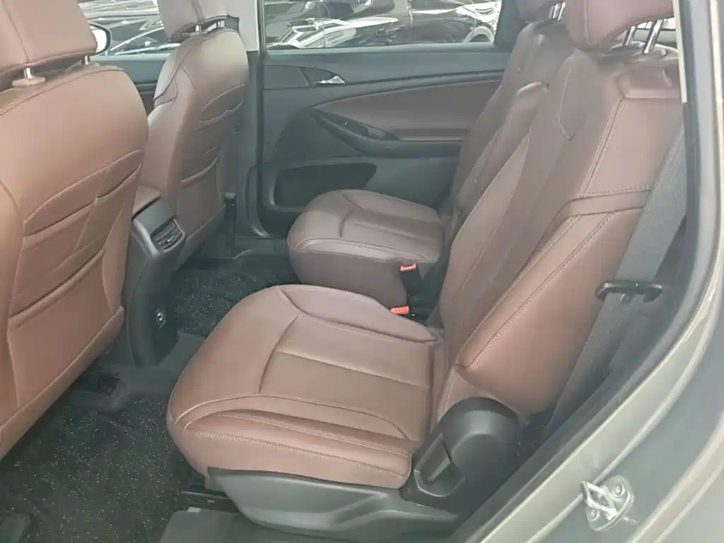 Buick GL6 — миниатюра 17