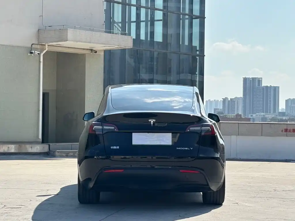 Tesla Model Y — миниатюра 11