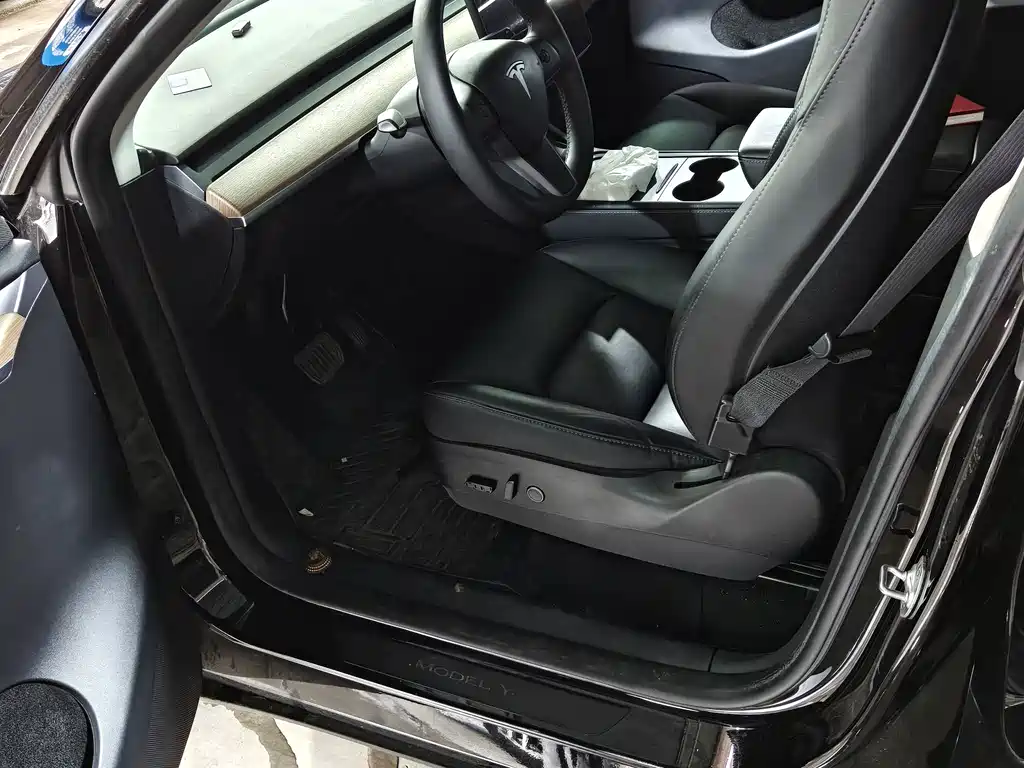 Tesla Model Y — миниатюра 3