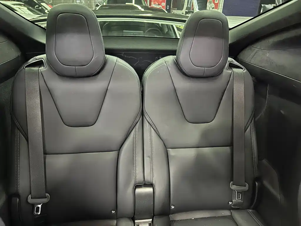 Tesla Model X — миниатюра 19