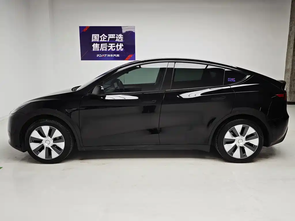 Tesla Model Y — миниатюра 9