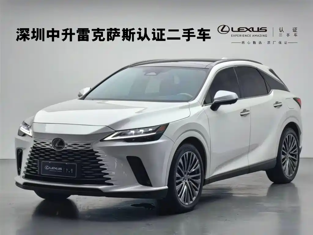 LEXUS RX NEW ENERGY