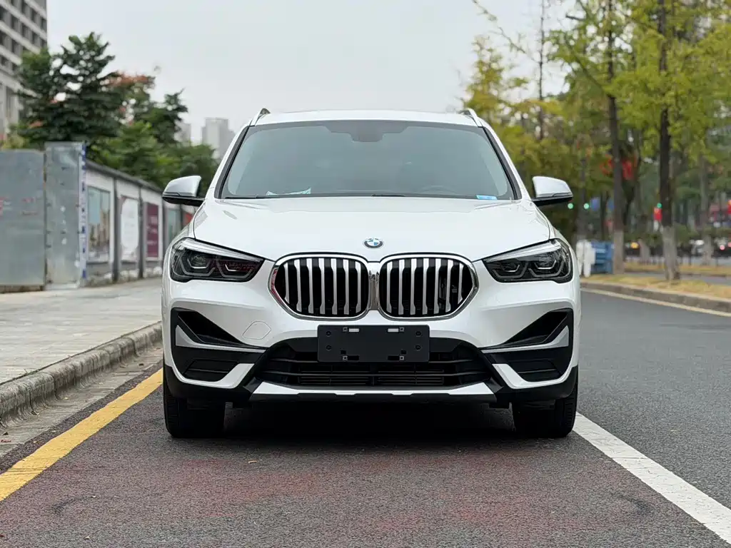 BMW X1 — миниатюра 2