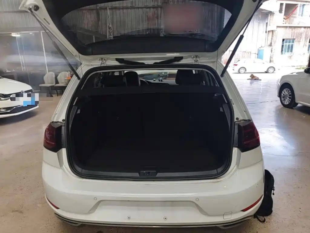 Volkswagen Golf — миниатюра 19