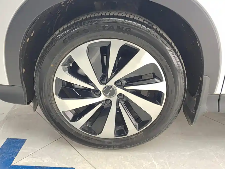 BYD PLUS New Energy — миниатюра 6