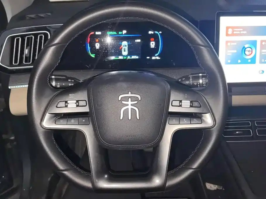 BYD Pro New Energy — миниатюра 15