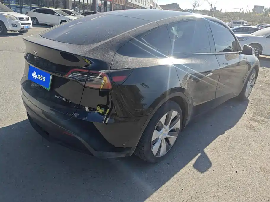 Tesla Model Y — миниатюра 3