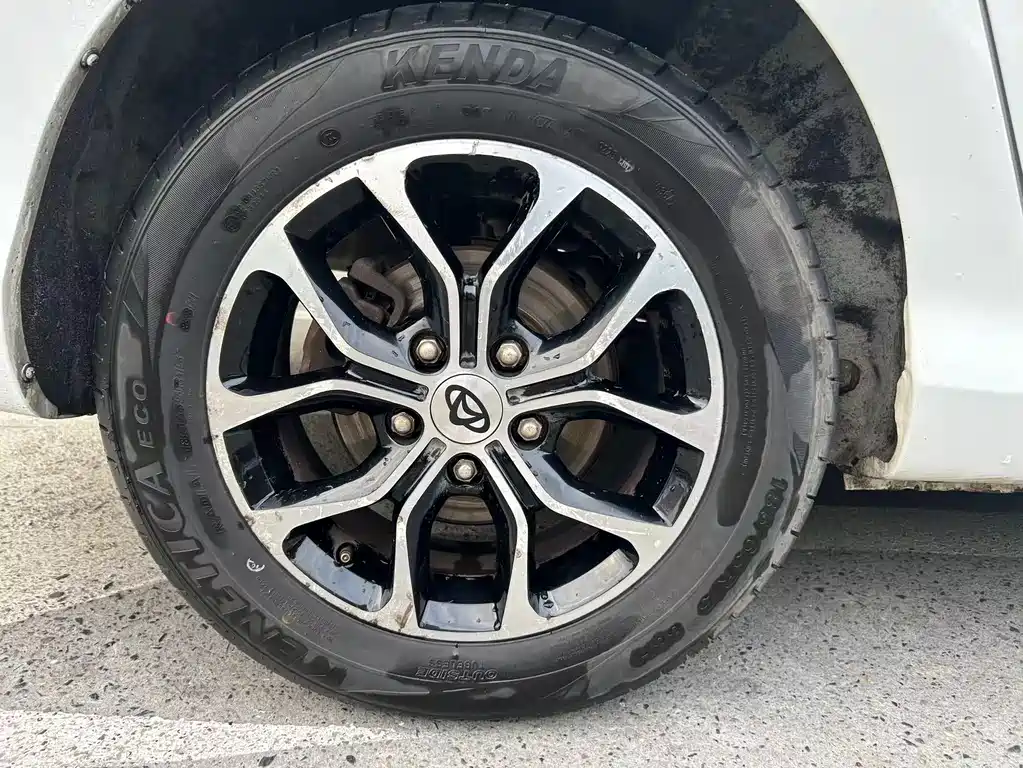 CHANGAN CHANGAN AUCHAN A600EV