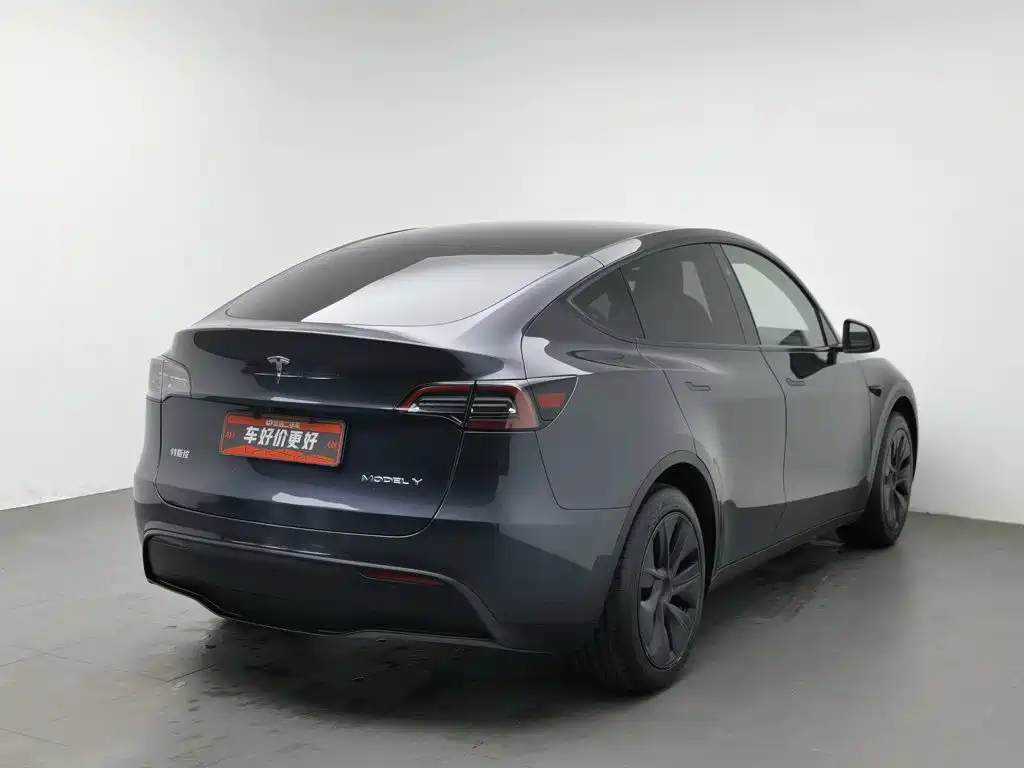 Tesla Model Y — миниатюра 2
