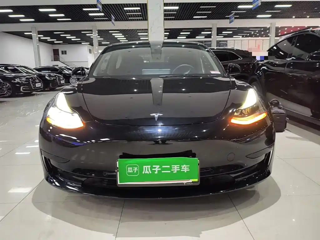 Tesla Model 3 — миниатюра 3
