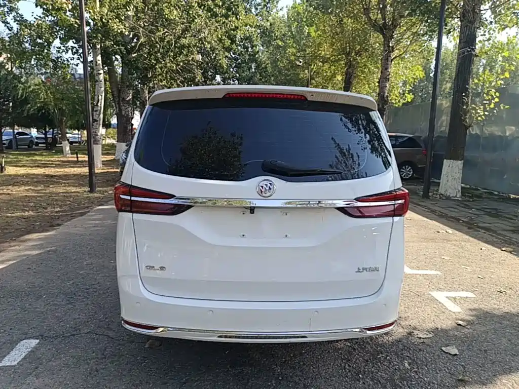 Buick GL8 — миниатюра 6