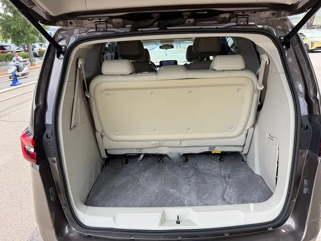 Buick GL8 — миниатюра 23