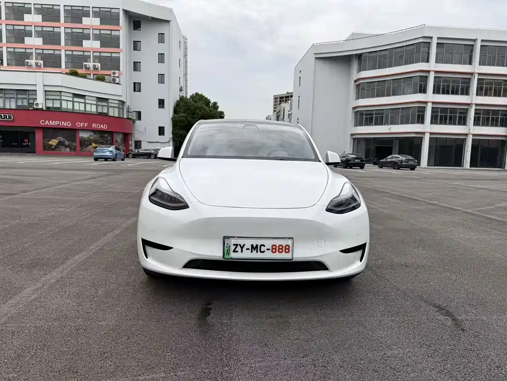 Tesla Model Y — миниатюра 2