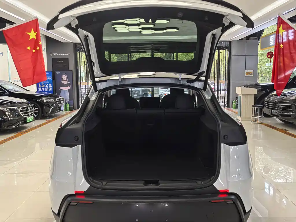 Tesla Model Y — миниатюра 11