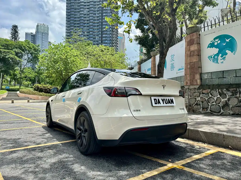 Tesla Model Y — миниатюра 4
