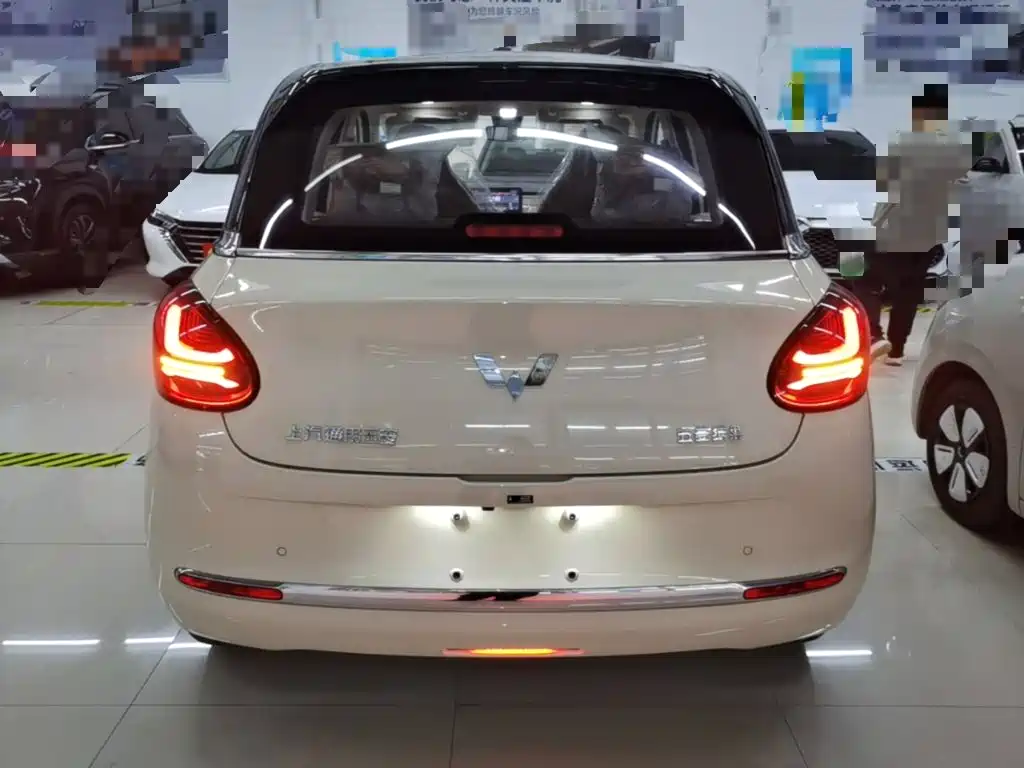 Wuling Binguo 2025 333km Enjoy