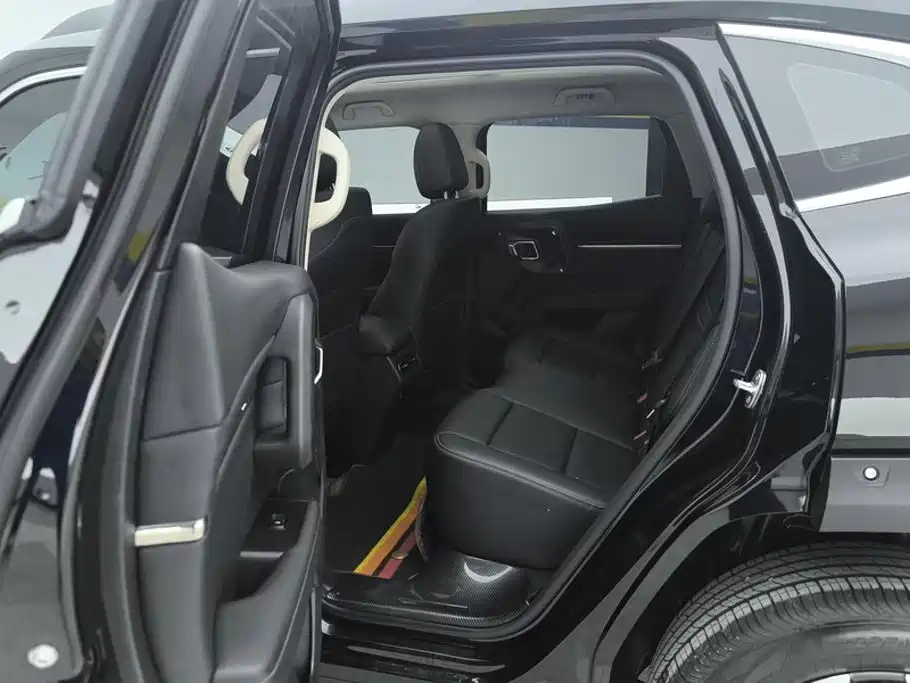 Haval Big Dog PLUS — миниатюра 11