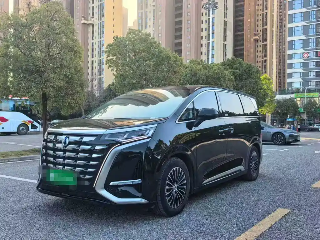 Denza D9