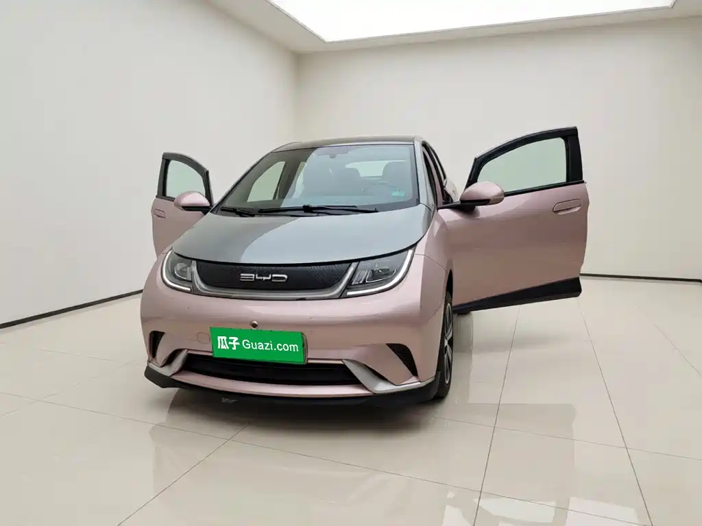 BYD Dolphin — миниатюра 2