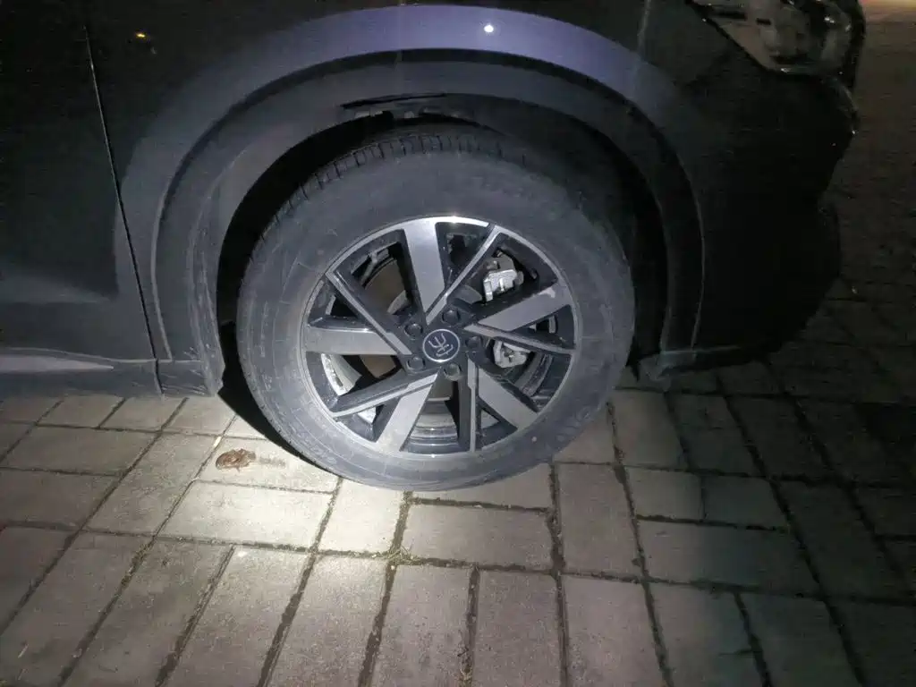 BYD Pro New Energy — миниатюра 8