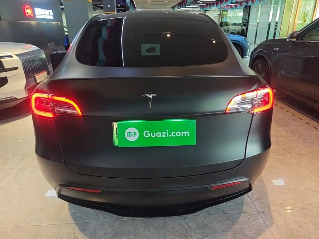 Tesla Model Y — миниатюра 6
