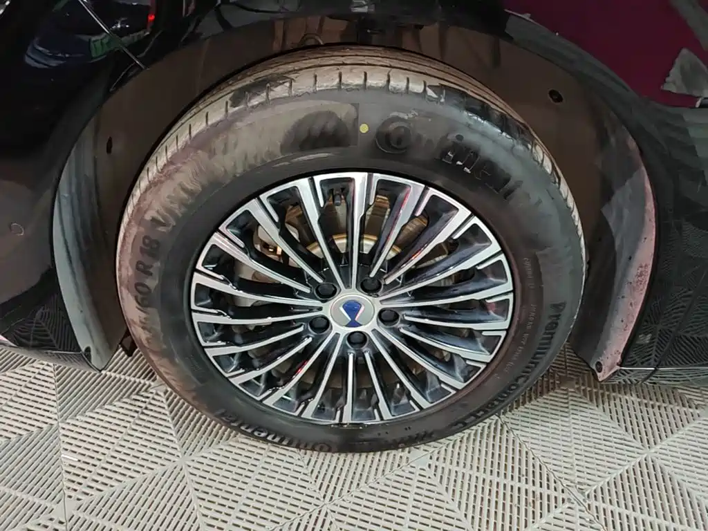 Denza Denza D9 — миниатюра 23