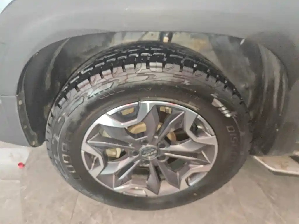 Haval Big Dog — миниатюра 23