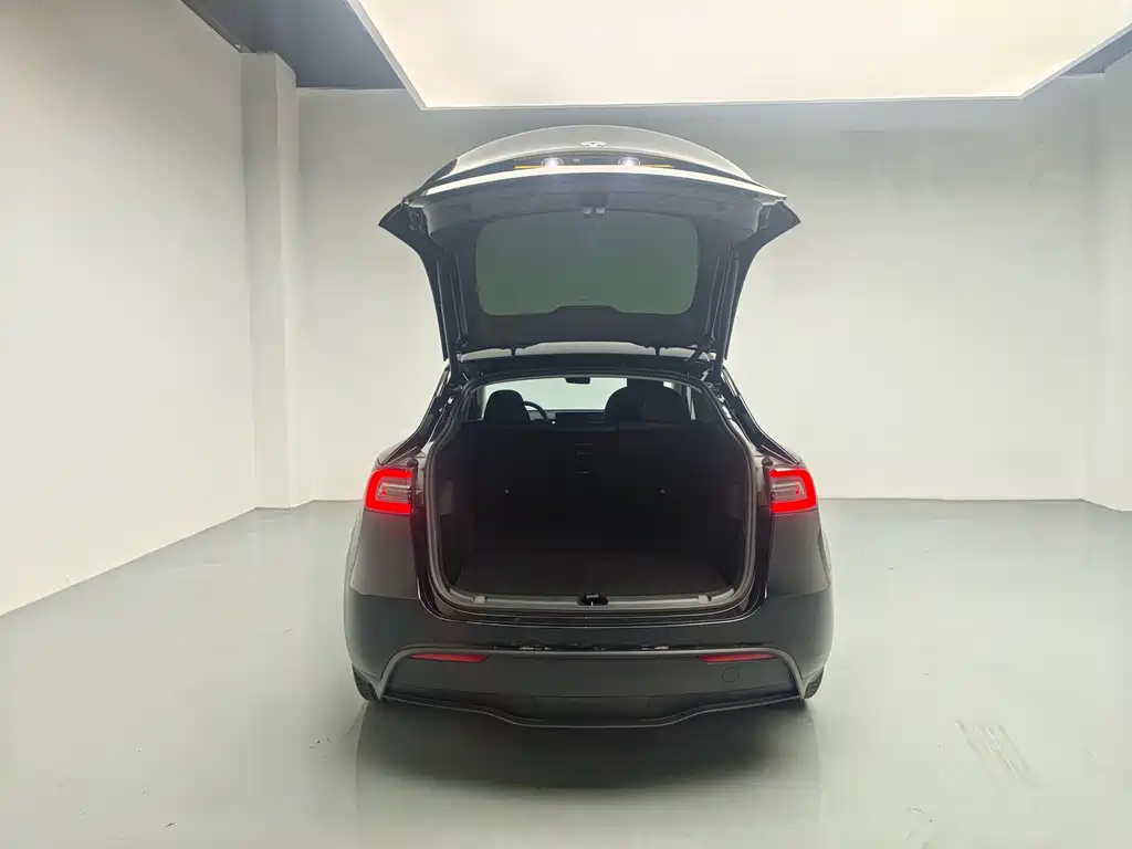 Tesla Model Y — миниатюра 9