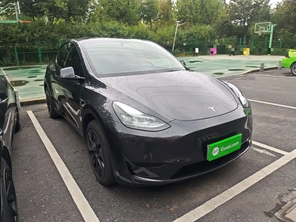 Tesla Model Y — миниатюра 4