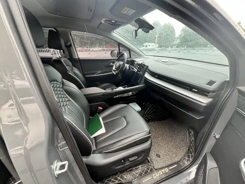 Hyundai Custo — миниатюра 10