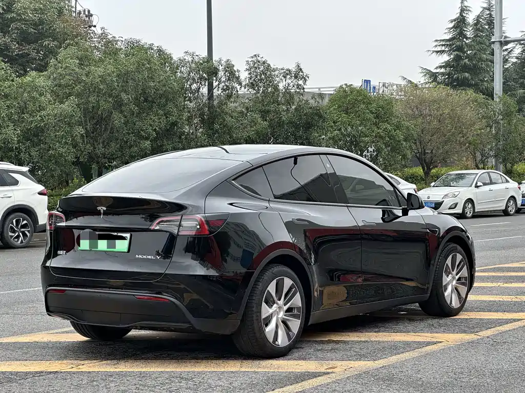 Tesla Model Y — миниатюра 9
