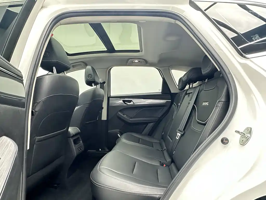 Haval Chulian — миниатюра 5