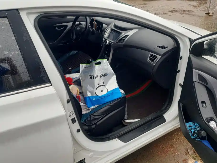 Hyundai Elantra Langdong — миниатюра 8