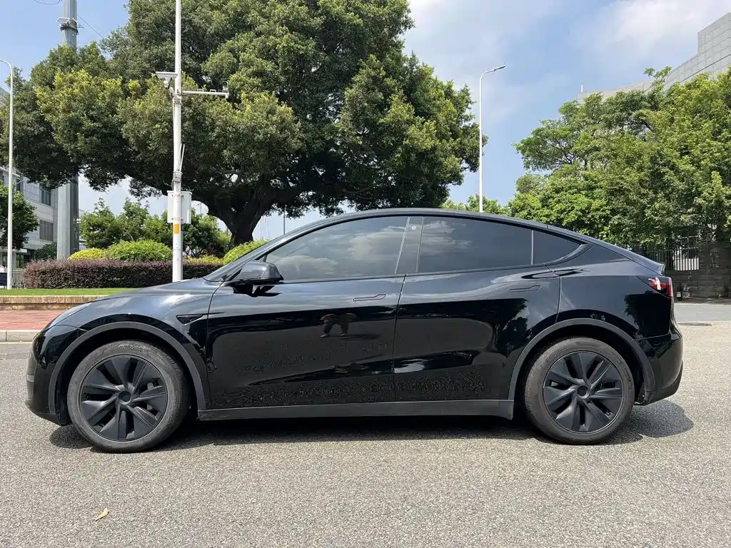 Tesla Model Y — миниатюра 4