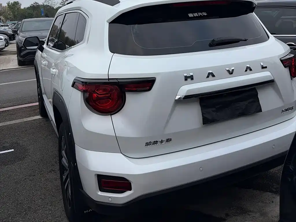 Haval Big Dog PLUS — миниатюра 8